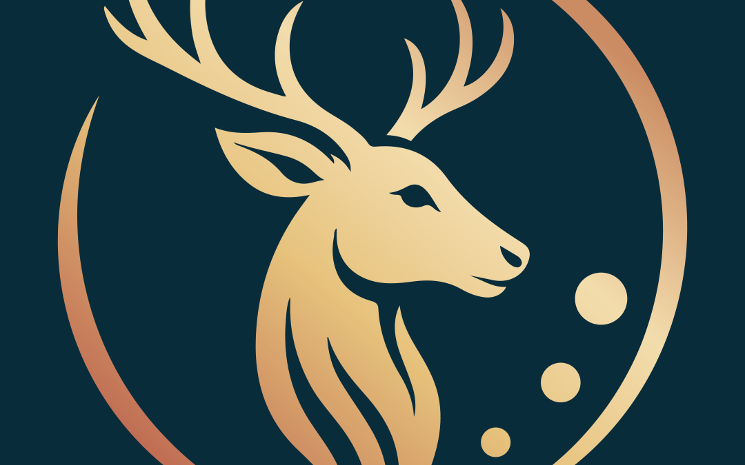 Coaching psycho-émotionnel – Institut de formation