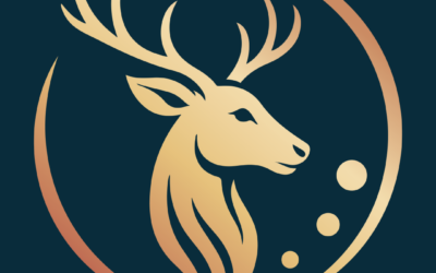 Coaching psycho-émotionnel – Institut de formation