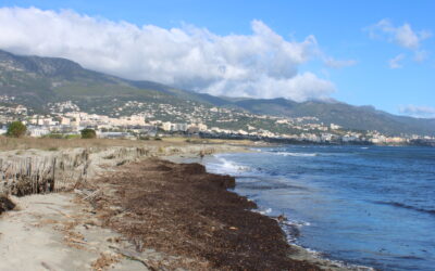 L’eau : un refuge pour l’esprit
