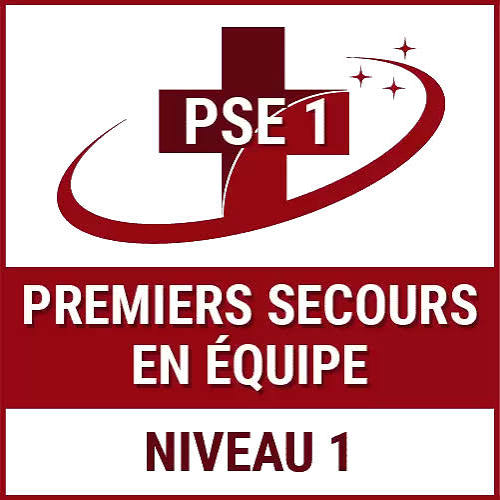 image du diplome premier secours en équipe PSE1